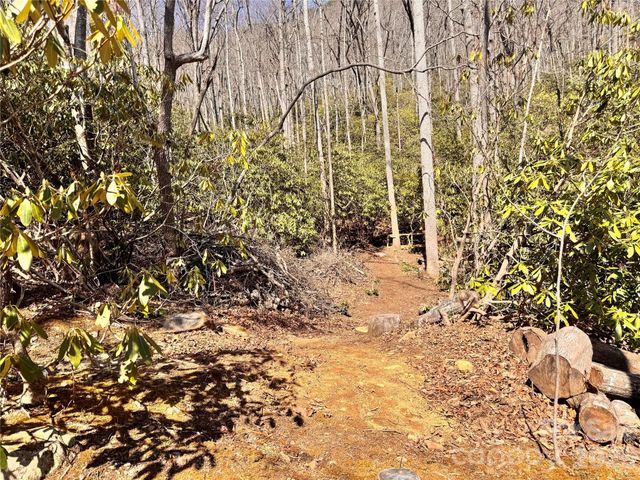 212 Harmony Lane 1142, Montreat, NC 28757