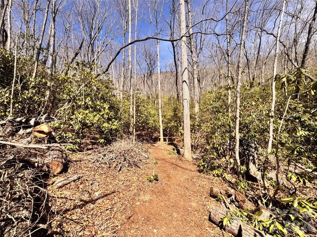 212 Harmony Lane 1142, Montreat, NC 28757