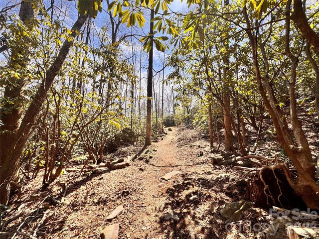 212 Harmony Lane 1142, Montreat, NC 28757