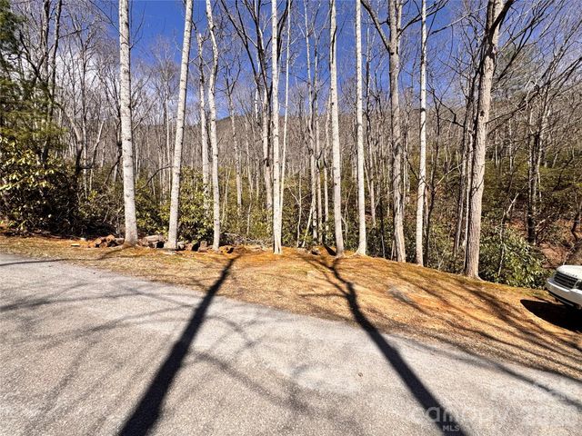 212 Harmony Lane 1142, Montreat, NC 28757