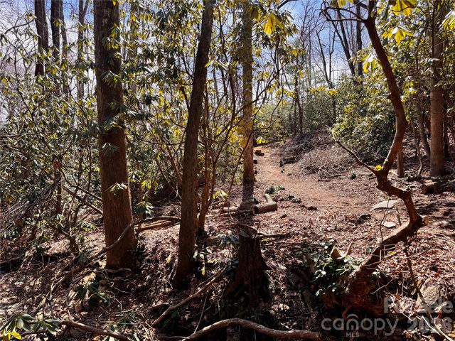 212 Harmony Lane 1142, Montreat, NC 28757