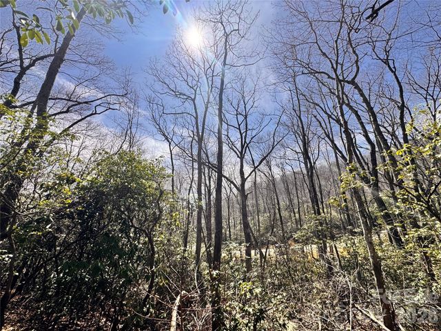 212 Harmony Lane 1142, Montreat, NC 28757