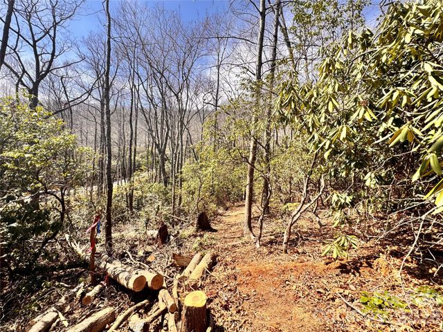 212 Harmony Lane 1142, Montreat, NC 28757