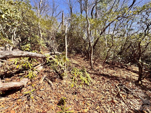 212 Harmony Lane 1142, Montreat, NC 28757