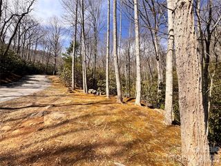 212 Harmony Lane 1142, Montreat, NC 28757