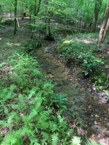 63-65 Deerwood Circle, Dahlonega, GA 30533