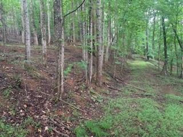 63-65 Deerwood Circle, Dahlonega, GA 30533