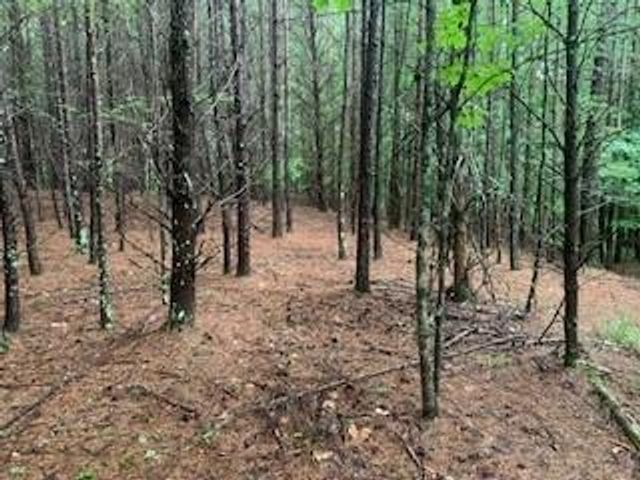 63-65 Deerwood Circle, Dahlonega, GA 30533