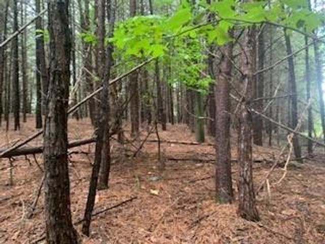 63-65 Deerwood Circle, Dahlonega, GA 30533
