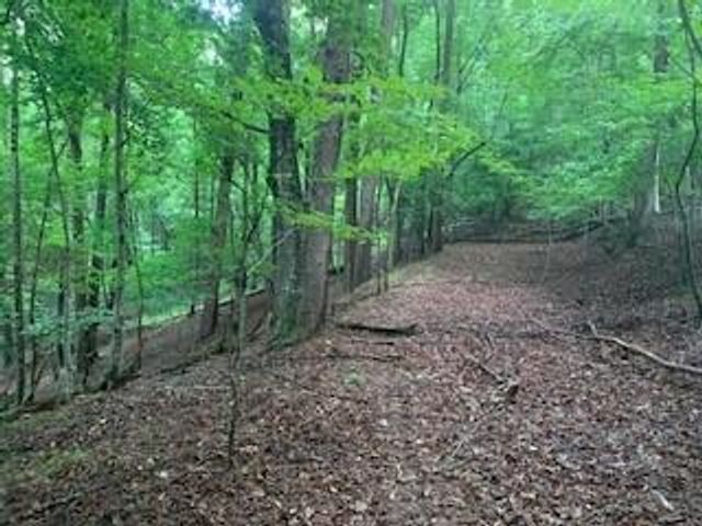 63-65 Deerwood Circle, Dahlonega, GA 30533