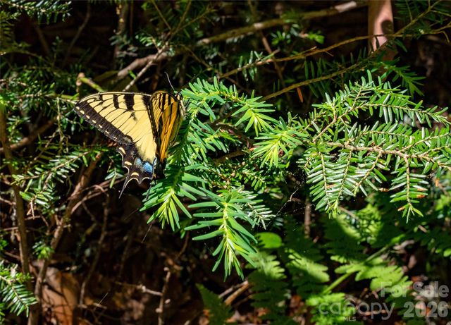 TBD Springhouse Trail L15, Brevard, NC 28712