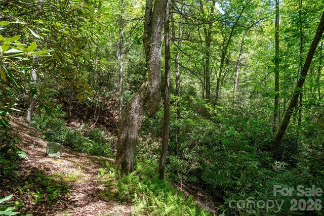 TBD Springhouse Trail L15, Brevard, NC 28712