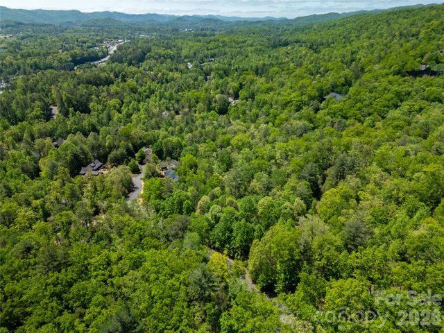 TBD Springhouse Trail L15, Brevard, NC 28712