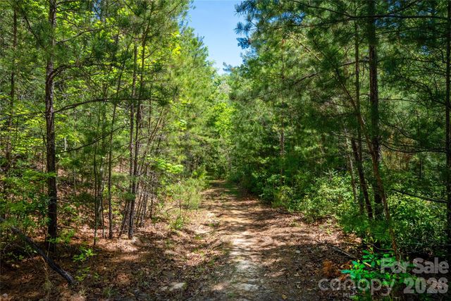 TBD Springhouse Trail L15, Brevard, NC 28712