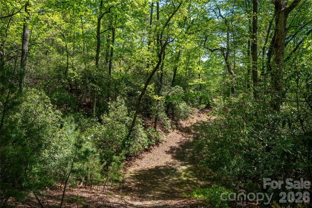 TBD Springhouse Trail L15, Brevard, NC 28712