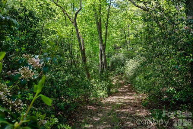 TBD Springhouse Trail L15, Brevard, NC 28712