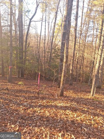 0 Bent Wood Lane, Blue Ridge, GA 30513