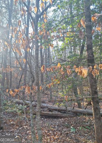 0 Bent Wood Lane, Blue Ridge, GA 30513