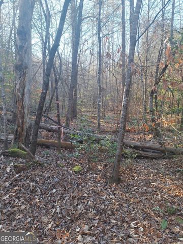 0 Bent Wood Lane, Blue Ridge, GA 30513