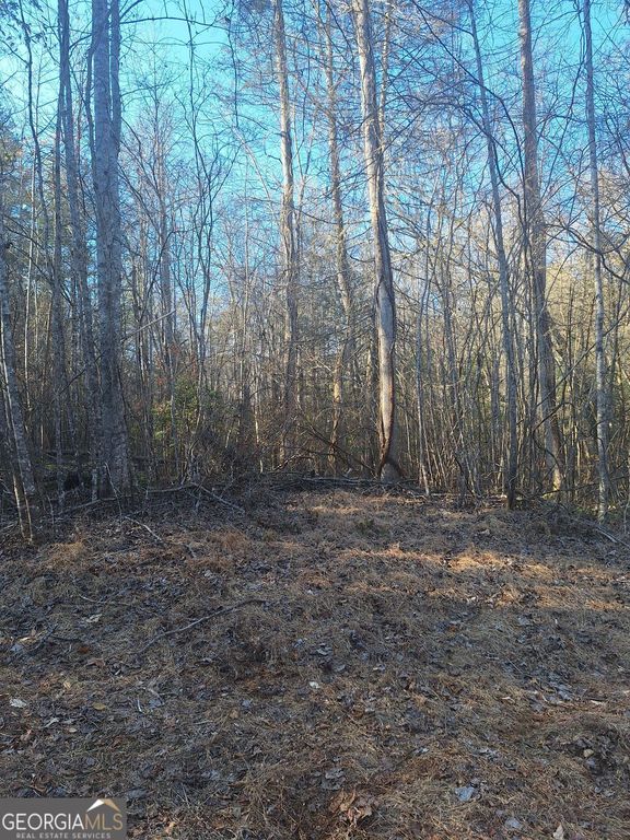 0 Bent Wood Lane, Blue Ridge, GA 30513
