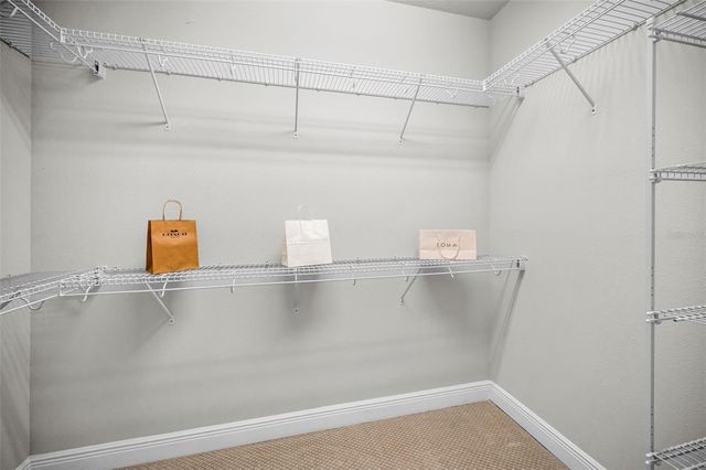 9589 CAVENDISH DRIVE, Tampa, FL 33626