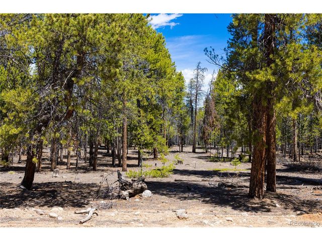 758 Spruce Dr, Twin Lakes, CO 80461