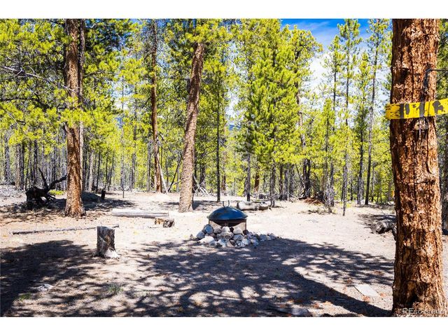 758 Spruce Dr, Twin Lakes, CO 80461