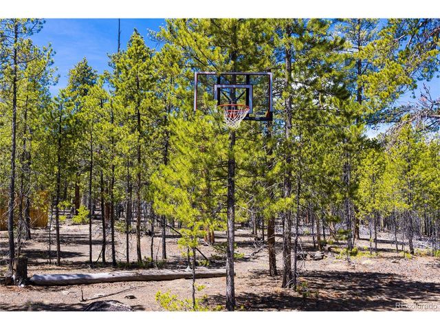 758 Spruce Dr, Twin Lakes, CO 80461
