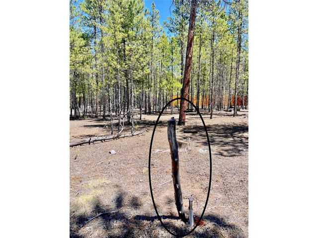 758 Spruce Dr, Twin Lakes, CO 80461