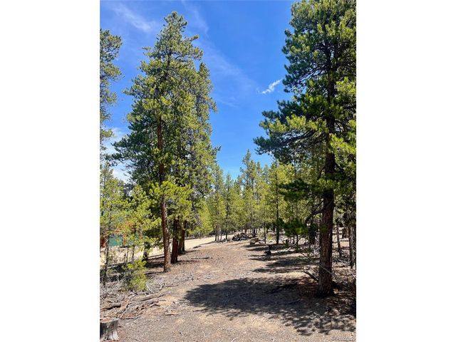 758 Spruce Dr, Twin Lakes, CO 80461