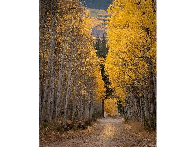 758 Spruce Dr, Twin Lakes, CO 80461