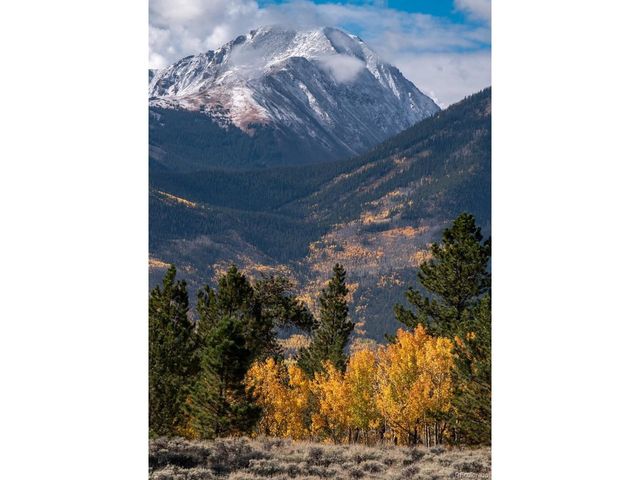 758 Spruce Dr, Twin Lakes, CO 80461