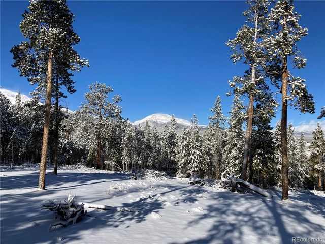 758 Spruce Dr, Twin Lakes, CO 80461