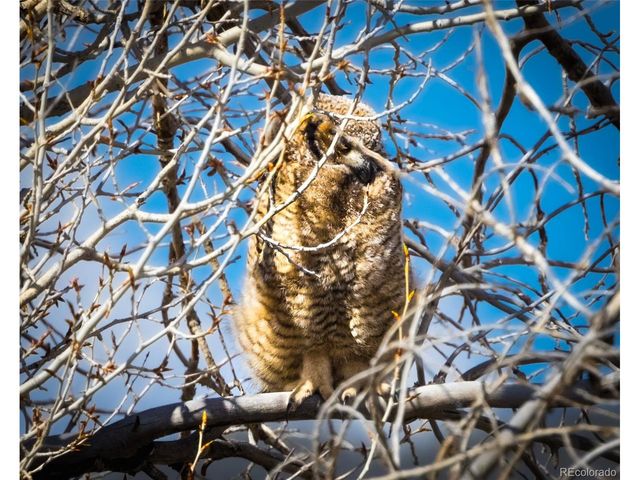 758 Spruce Dr, Twin Lakes, CO 80461