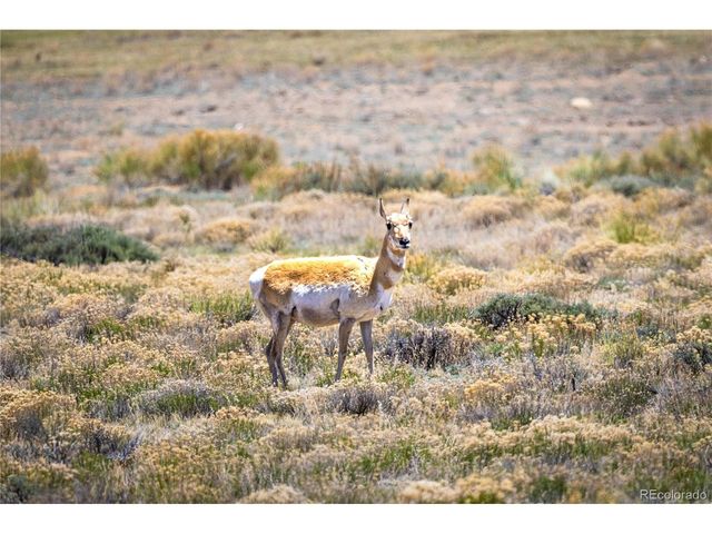 758 Spruce Dr, Twin Lakes, CO 80461