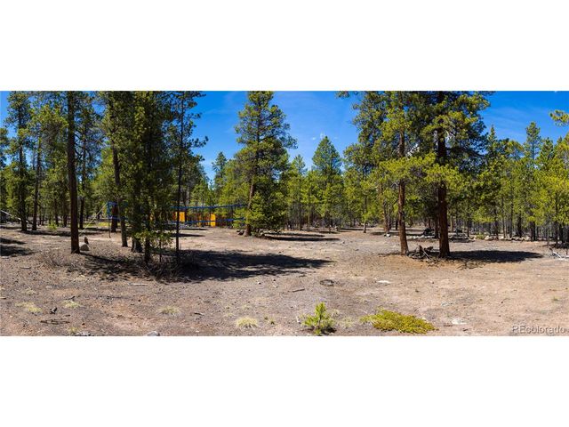 758 Spruce Dr, Twin Lakes, CO 80461