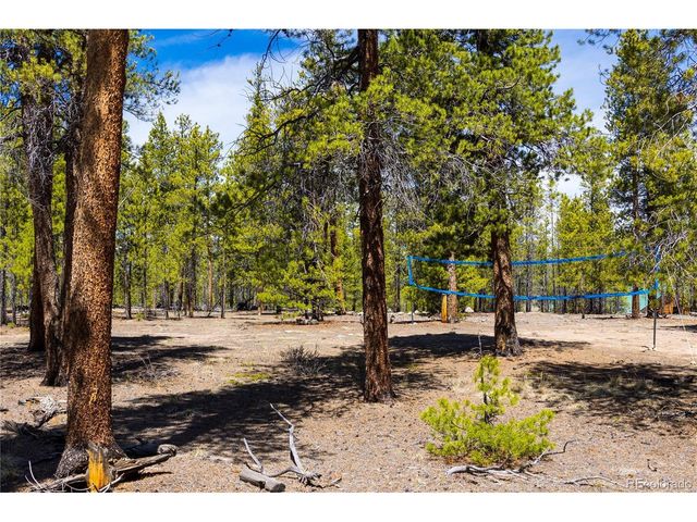 758 Spruce Dr, Twin Lakes, CO 80461