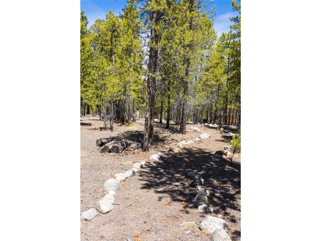 758 Spruce Dr, Twin Lakes, CO 80461