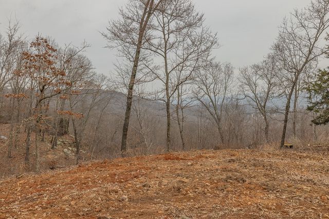 10706 Wooton, West Fork, AR 72774