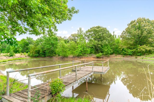 1434 Vz County Road 4519, Van, TX 75790