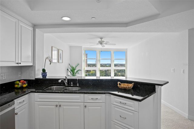 4971 BACOPA LANE S 703, St Petersburg, FL 33715