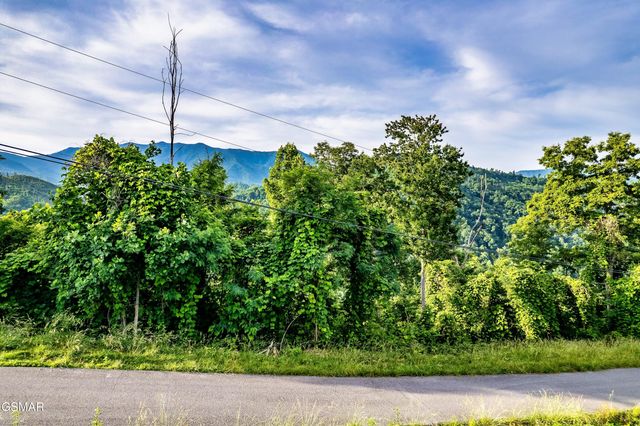 Lot 0002 Ellis Ogle Road, Gatlinburg, TN 37738