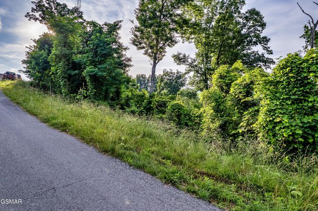 Lot 0002 Ellis Ogle Road, Gatlinburg, TN 37738