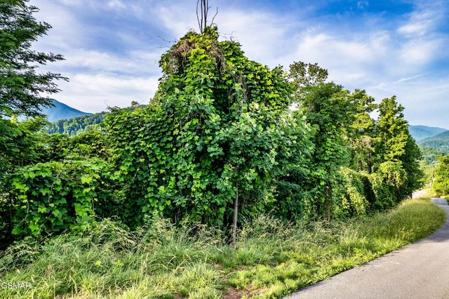 Lot 0002 Ellis Ogle Road, Gatlinburg, TN 37738
