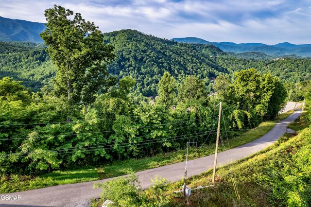 Lot 0002 Ellis Ogle Road, Gatlinburg, TN 37738