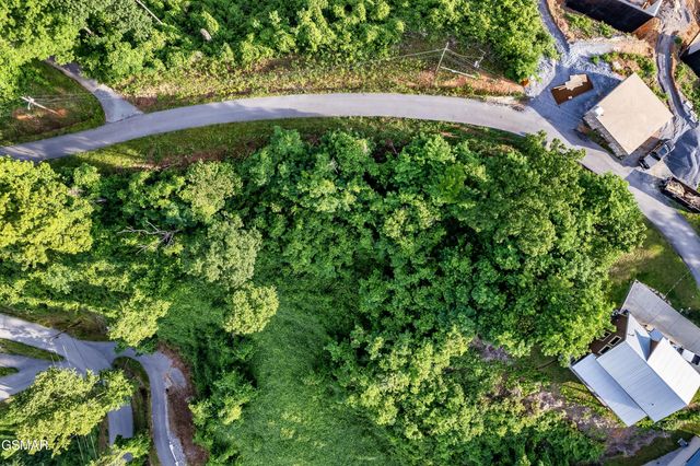 Lot 0002 Ellis Ogle Road, Gatlinburg, TN 37738