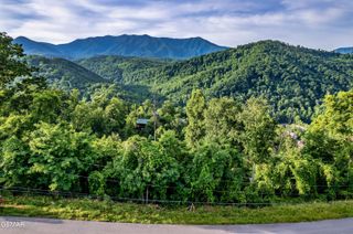 Lot 0002 Ellis Ogle Road, Gatlinburg, TN 37738
