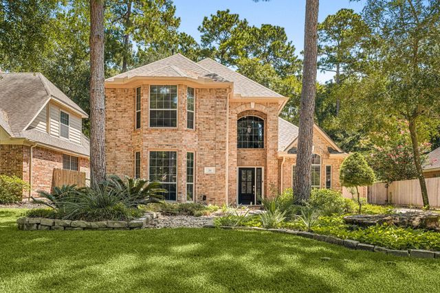 26 Cinnamon Teal Place, The Woodlands, TX 77382