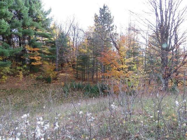 Lot 63 Eden Street, Kingsley, MI 49649