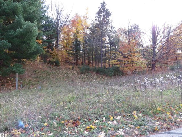 Lot 63 Eden Street, Kingsley, MI 49649